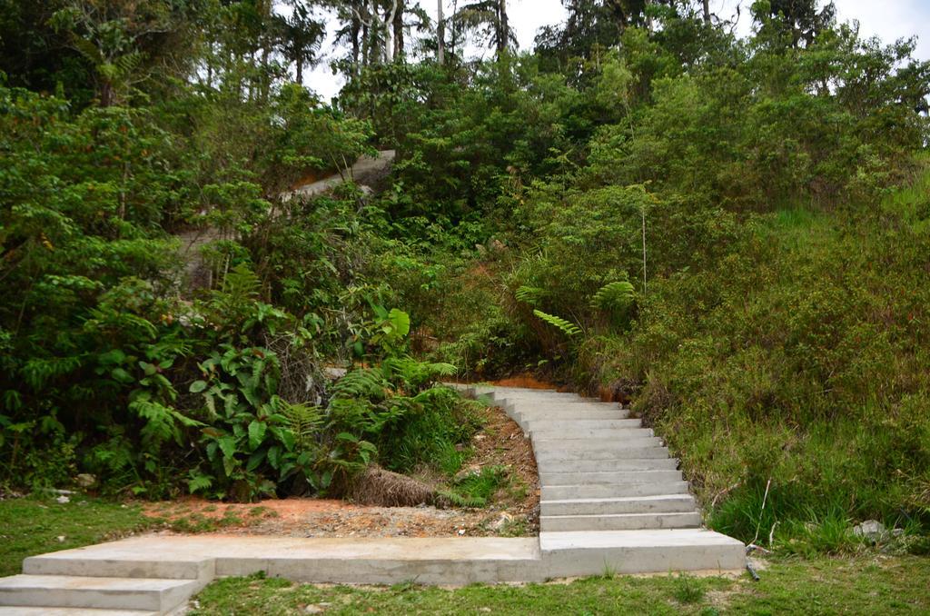 The Woodz Homestay Tanah Rata Exterior photo